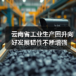 云南省工业生产回升向好发展韧性不断增强(图3) 云南省工业生产回升向好发展韧性不断增强(图3)