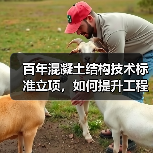 百年混凝土结构技术标准立项,如何提升工程质量?(图2) 百年混凝土结构技术标准立项,如何提升工程质量?(图2)