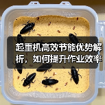 起重机高效节能优势解析,如何提升作业效率?(图2) 起重机高效节能优势解析,如何提升作业效率?(图2)