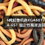 6吨起重机选XGA6012A-6S?稳定性高灵活好用,适应多种工况(图4) 6吨起重机选XGA6012A-6S?稳定性高灵活好用,适应多种工况(图4)