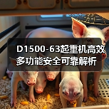 D1500-63起重机高效多功能安全可靠解析(图3) D1500-63起重机高效多功能安全可靠解析(图3)