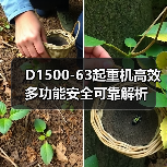 D1500-63起重机高效多功能安全可靠解析(图1) D1500-63起重机高效多功能安全可靠解析(图1)