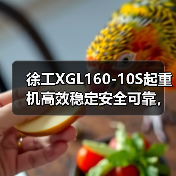 徐工XGL160-10S起重机高效稳定安全可靠,工地作业首选(图3) 徐工XGL160-10S起重机高效稳定安全可靠,工地作业首选(图3)