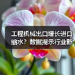 工程机械出口增长进口缩水?数据揭示行业新趋势(图4) 工程机械出口增长进口缩水?数据揭示行业新趋势(图4)