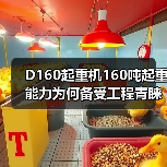 D160起重机160吨起重能力为何备受工程青睐?(图1) D160起重机160吨起重能力为何备受工程青睐?(图1)
