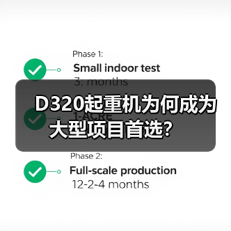 D320起重机为何成为大型项目首选?(图1) D320起重机为何成为大型项目首选?(图1)
