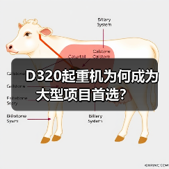 D320起重机为何成为大型项目首选?(图4) D320起重机为何成为大型项目首选?(图4)