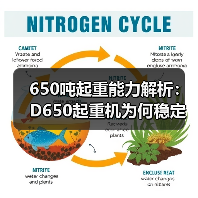 650吨起重能力解析:D650起重机为何稳定性与可靠性出众?(图4) 650吨起重能力解析:D650起重机为何稳定性与可靠性出众?(图4)