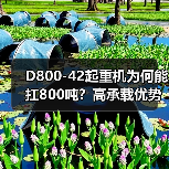 D800-42起重机为何能扛800吨?高承载优势揭秘(图3) D800-42起重机为何能扛800吨?高承载优势揭秘(图3)