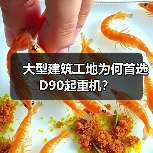 大型建筑工地为何首选D90起重机?(图1) 大型建筑工地为何首选D90起重机?(图1)