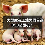 大型建筑工地为何首选D90起重机?(图4) 大型建筑工地为何首选D90起重机?(图4)
