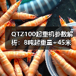 QTZ100起重机参数解析：8吨起重量+45米高度，如何提升施工效率？（图2）