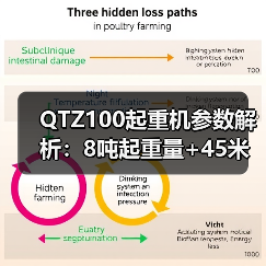QTZ100起重机参数解析：8吨起重量+45米高度，如何提升施工效率？（图3）