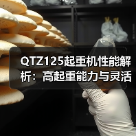 QTZ125起重机性能解析：高起重能力与灵活操作优势（图4）