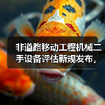非道路移动工程机械二手设备评估新规发布,如何应对?(图1) 非道路移动工程机械二手设备评估新规发布,如何应对?(图1)