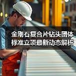 金刚石复合片钻头团体标准立项最新动态解析(图2) 金刚石复合片钻头团体标准立项最新动态解析(图2)