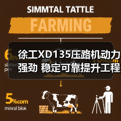 徐工XD135压路机动力强劲 稳定可靠提升工程效率(图2) 徐工XD135压路机动力强劲 稳定可靠提升工程效率(图2)