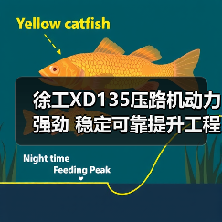 徐工XD135压路机动力强劲 稳定可靠提升工程效率(图1) 徐工XD135压路机动力强劲 稳定可靠提升工程效率(图1)