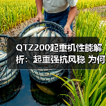 QTZ200起重机性能解析:起重强抗风稳 为何成工程优选?(图3) QTZ200起重机性能解析:起重强抗风稳 为何成工程优选?(图3)