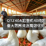 QTZ40A起重机40吨起重大范围灵活高效优势(图2) QTZ40A起重机40吨起重大范围灵活高效优势(图2)
