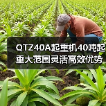 QTZ40A起重机40吨起重大范围灵活高效优势(图3) QTZ40A起重机40吨起重大范围灵活高效优势(图3)
