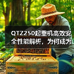 QTZ250起重机高效安全性能解析,为何成为工地首选(图1) QTZ250起重机高效安全性能解析,为何成为工地首选(图1)