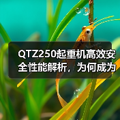 QTZ250起重机高效安全性能解析,为何成为工地首选(图3) QTZ250起重机高效安全性能解析,为何成为工地首选(图3)