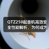 QTZ250起重机高效安全性能解析,为何成为工地首选(图4) QTZ250起重机高效安全性能解析,为何成为工地首选(图4)