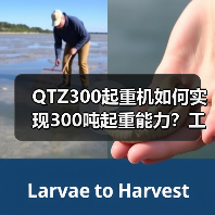 QTZ300起重机如何实现300吨起重能力?工地复杂场景应对全解析(图3) QTZ300起重机如何实现300吨起重能力?工地复杂场景应对全解析(图3)