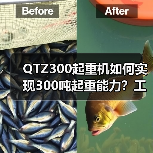 QTZ300起重机如何实现300吨起重能力?工地复杂场景应对全解析(图4) QTZ300起重机如何实现300吨起重能力?工地复杂场景应对全解析(图4)