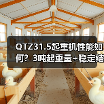 QTZ31.5起重机性能如何?3吨起重量+稳定结构=高效作业?(图2) QTZ31.5起重机性能如何?3吨起重量+稳定结构=高效作业?(图2)