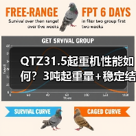 QTZ31.5起重机性能如何?3吨起重量+稳定结构=高效作业?(图3) QTZ31.5起重机性能如何?3吨起重量+稳定结构=高效作业?(图3)