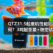 QTZ31.5起重机性能如何?3吨起重量+稳定结构=高效作业?(图4) QTZ31.5起重机性能如何?3吨起重量+稳定结构=高效作业?(图4)