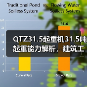QTZ31.5起重机31.5吨起重能力解析,建筑工地为何首选?(图1) QTZ31.5起重机31.5吨起重能力解析,建筑工地为何首选?(图1)