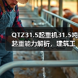 QTZ31.5起重机31.5吨起重能力解析,建筑工地为何首选?(图2) QTZ31.5起重机31.5吨起重能力解析,建筑工地为何首选?(图2)