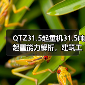 QTZ31.5起重机31.5吨起重能力解析,建筑工地为何首选?(图3) QTZ31.5起重机31.5吨起重能力解析,建筑工地为何首选?(图3)