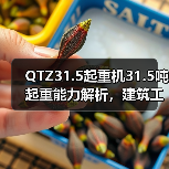 QTZ31.5起重机31.5吨起重能力解析,建筑工地为何首选?(图4) QTZ31.5起重机31.5吨起重能力解析,建筑工地为何首选?(图4)