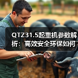QTZ31.5起重机参数解析:高效安全环保如何助力工地施工?(图1) QTZ31.5起重机参数解析:高效安全环保如何助力工地施工?(图1)