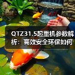 QTZ31.5起重机参数解析:高效安全环保如何助力工地施工?(图2) QTZ31.5起重机参数解析:高效安全环保如何助力工地施工?(图2)