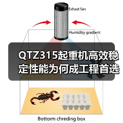 QTZ315起重机高效稳定性能为何成工程首选?(图1) QTZ315起重机高效稳定性能为何成工程首选?(图1)