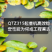 QTZ315起重机高效稳定性能为何成工程首选?(图2) QTZ315起重机高效稳定性能为何成工程首选?(图2)