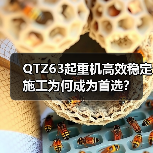 QTZ63起重机高效稳定施工为何成为首选?(图1) QTZ63起重机高效稳定施工为何成为首选?(图1)