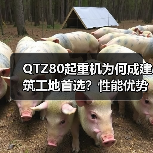 QTZ80起重机为何成建筑工地首选?性能优势解析(图3) QTZ80起重机为何成建筑工地首选?性能优势解析(图3)