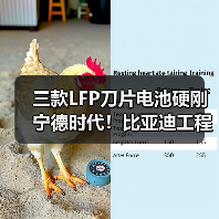 三款LFP刀片电池硬刚宁德时代!比亚迪工程机械新品突破(图2) 三款LFP刀片电池硬刚宁德时代!比亚迪工程机械新品突破(图2)