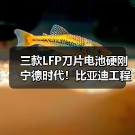三款LFP刀片电池硬刚宁德时代!比亚迪工程机械新品突破(图4) 三款LFP刀片电池硬刚宁德时代!比亚迪工程机械新品突破(图4)