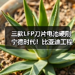 三款LFP刀片电池硬刚宁德时代!比亚迪工程机械新品突破(图3) 三款LFP刀片电池硬刚宁德时代!比亚迪工程机械新品突破(图3)