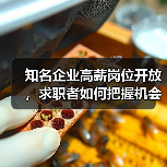 知名企业高薪岗位开放,求职者如何把握机会?(图4) 知名企业高薪岗位开放,求职者如何把握机会?(图4)