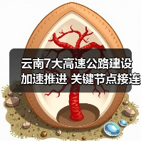 云南7大高速公路建设加速推进 关键节点接连突破(图2) 云南7大高速公路建设加速推进 关键节点接连突破(图2)
