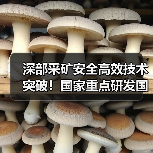 深部采矿安全高效技术突破!国家重点研发国际合作项目成功立项(图1) 深部采矿安全高效技术突破!国家重点研发国际合作项目成功立项(图1)
