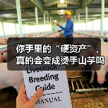 你手里的“硬资产”,真的会变成烫手山芋吗?——一个普通人的固定资产投资噩梦(图2) 你手里的“硬资产”,真的会变成烫手山芋吗?——一个普通人的固定资产投资噩梦(图2)